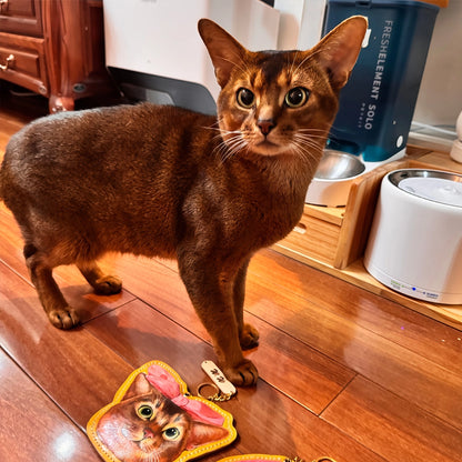 Leather Charm Pet